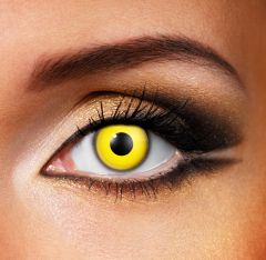 Yellow Eye Accessories (Pair)