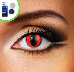 Red Cat Eye (Inc Case & Solution)