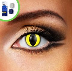 Yellow cat contact lenses